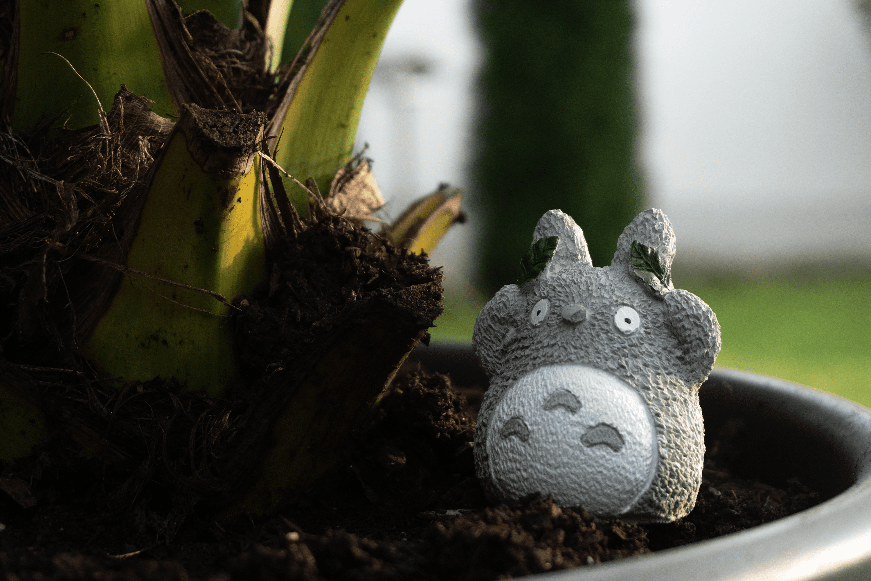 Anime Sculpture Totoro Studio Ghibli