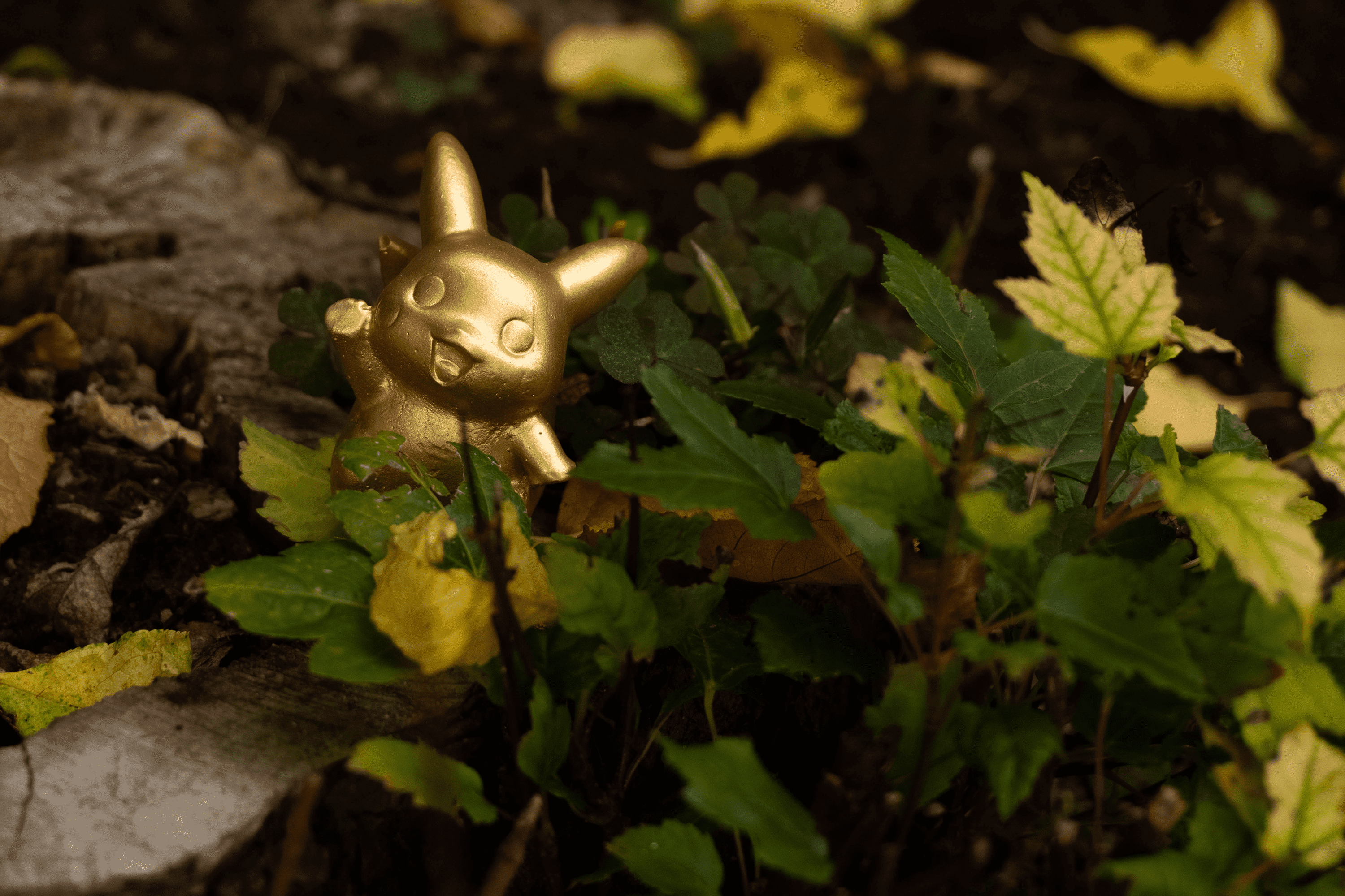 Pokemon Pikachu Gold Limited Edition charmander 